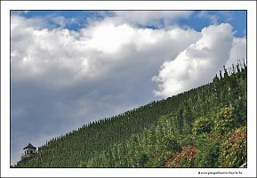 IMG_20220822_164622