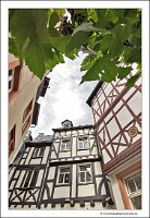 IMG_20220822_164839