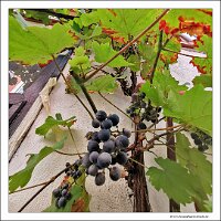 IMG_20220822_170404