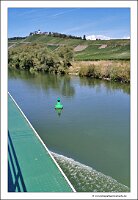 IMG_20220823_123511