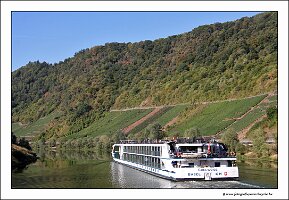 IMG_2421