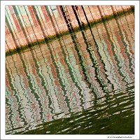 IMG_2428