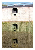 IMG_2444