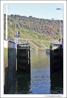 IMG_2445