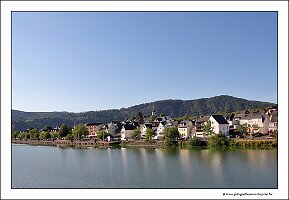 IMG_2455