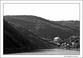 IMG_2456