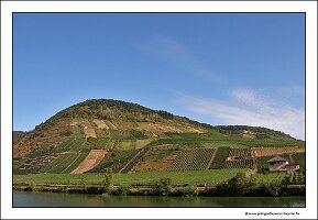 IMG_2480