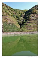 IMG_2497