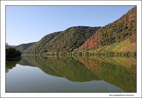 IMG_2512