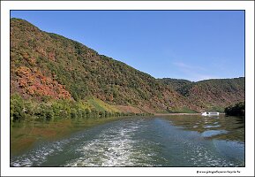 IMG_2515