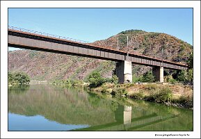 IMG_2550