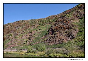 IMG_2560