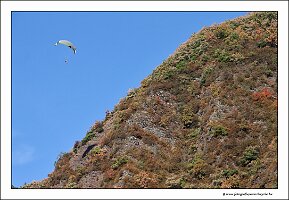 IMG_2567