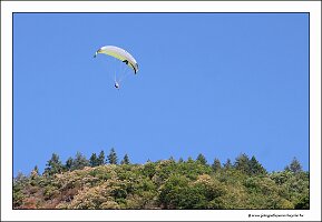 IMG_2571