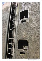 IMG_2610