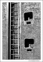 IMG_2614 copy