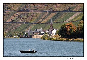 IMG_2647