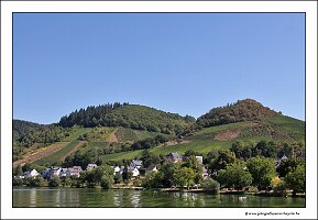 IMG_2657