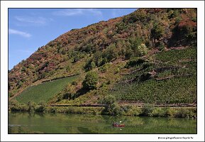 IMG_2716