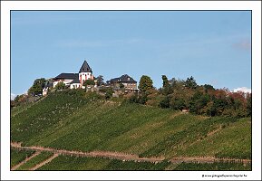 IMG_2722