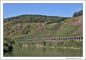 IMG_2735