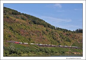 IMG_2743