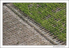 IMG_2773