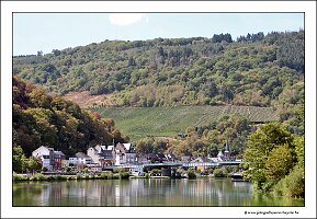 IMG_2775