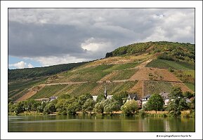 IMG_2821