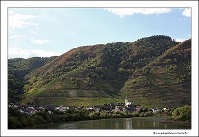IMG_2843