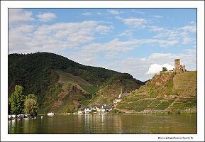 IMG_2883