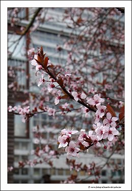 IMG_3712