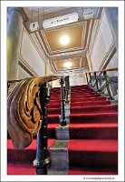 IMG_20230528_113918