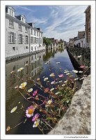 IMG_20230528_122528