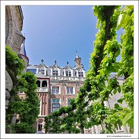 IMG_20230528_145919