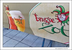 IMG_20230528_151247