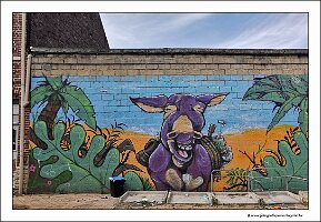 IMG_20230721_160406