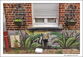 IMG_20230721_160503