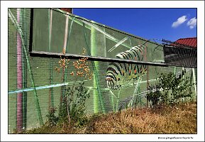 IMG_20230721_174926