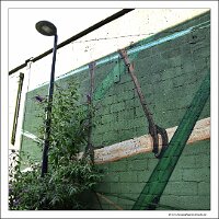 IMG_20230721_175035