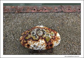 IMG_20230923_103458