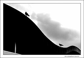 IMG_20230923_104730