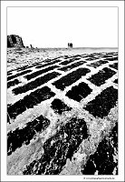 IMG_20230923_110335