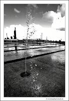 IMG_20230923_110633
