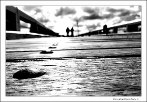 IMG_20230923_111850
