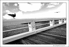 IMG_20230923_112449