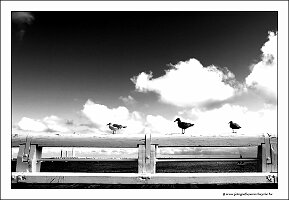 IMG_20230923_112534-01