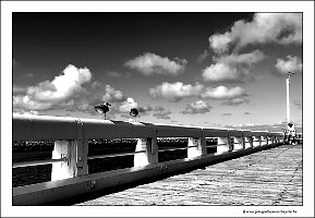 IMG_20230923_112703