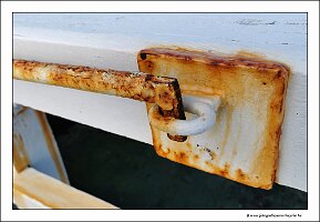 IMG_20230923_113810