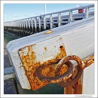 IMG_20230923_113946